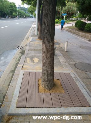鳳崗鎮(zhèn)中心樹(shù)池